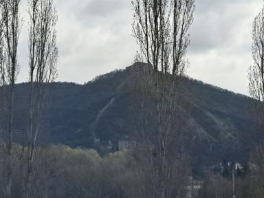 tobrat1