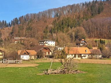 toljub9