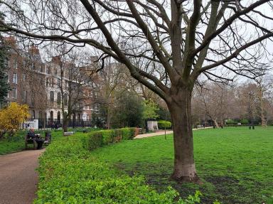 park&tree
