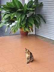 158537