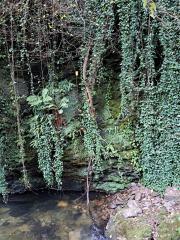 159591
