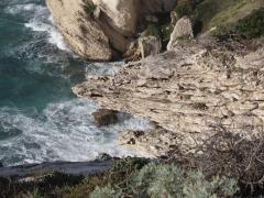 161638