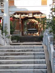 166697