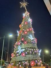 167896